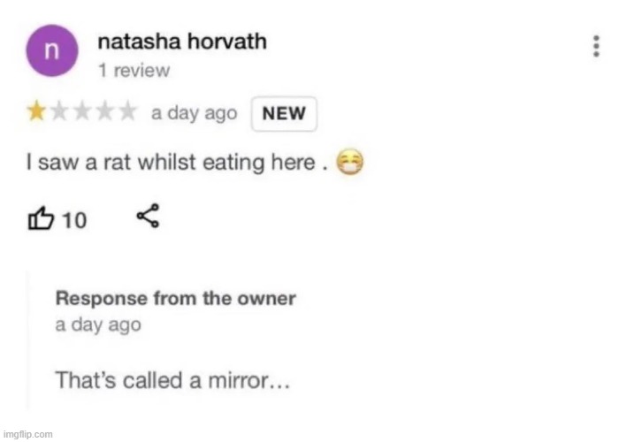 image tagged in restaurant,review,rat,mirror | made w/ Imgflip meme maker