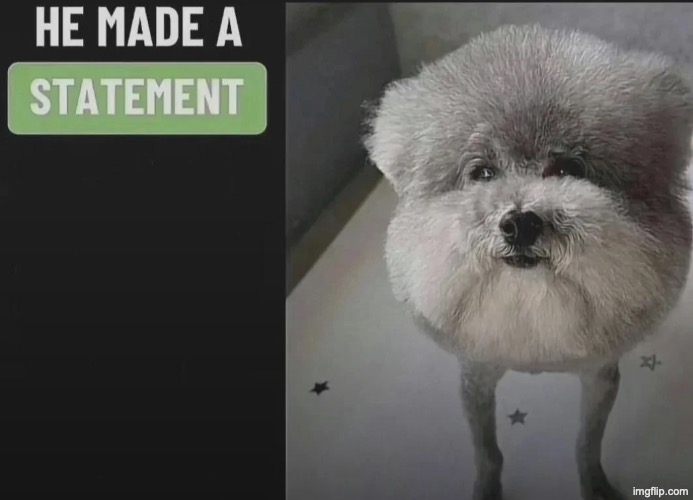 He made a statement blank | image tagged in he made a statement blank | made w/ Imgflip meme maker