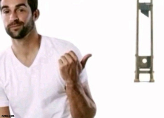 real | image tagged in guillotine guy | made w/ Imgflip meme maker