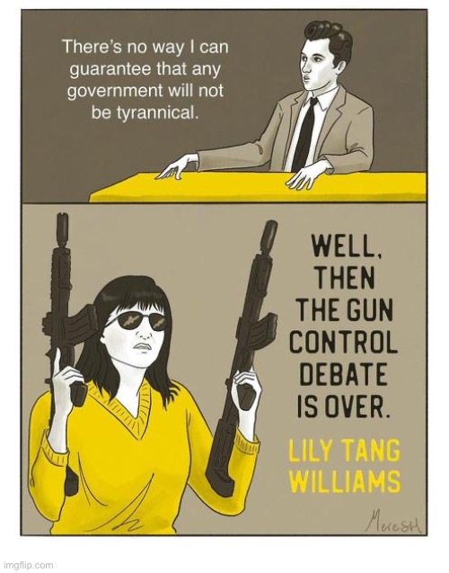 Give ‘em hell, Lily… | image tagged in political meme,lily tang wiliams,gun control,the debate is over,second amendment,tyranny | made w/ Imgflip meme maker