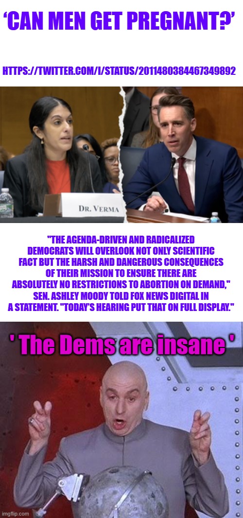 HTTPS://TWITTER.COM/I/STATUS/2011480384467349892; ‘CAN MEN GET PREGNANT?’; "THE AGENDA-DRIVEN AND RADICALIZED DEMOCRATS WILL OVERLOOK NOT ONLY SCIENTIFIC FACT BUT THE HARSH AND DANGEROUS CONSEQUENCES OF THEIR MISSION TO ENSURE THERE ARE ABSOLUTELY NO RESTRICTIONS TO ABORTION ON DEMAND," SEN. ASHLEY MOODY TOLD FOX NEWS DIGITAL IN A STATEMENT. "TODAY’S HEARING PUT THAT ON FULL DISPLAY."; ' The Dems are insane ' | image tagged in memes,dr evil laser | made w/ Imgflip meme maker