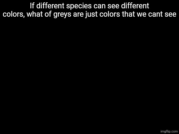 If different species can see different colors, what of greys are just colors that we cant see | made w/ Imgflip meme maker