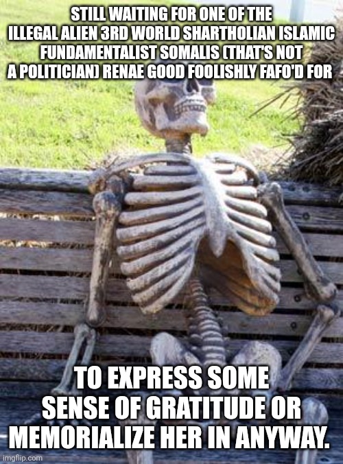 Renae good | STILL WAITING FOR ONE OF THE ILLEGAL ALIEN 3RD WORLD SHARTHOLIAN ISLAMIC FUNDAMENTALIST SOMALIS (THAT'S NOT A POLITICIAN) RENAE GOOD FOOLISHLY FAFO'D FOR; TO EXPRESS SOME SENSE OF GRATITUDE OR MEMORIALIZE HER IN ANYWAY. | image tagged in memes,waiting skeleton | made w/ Imgflip meme maker