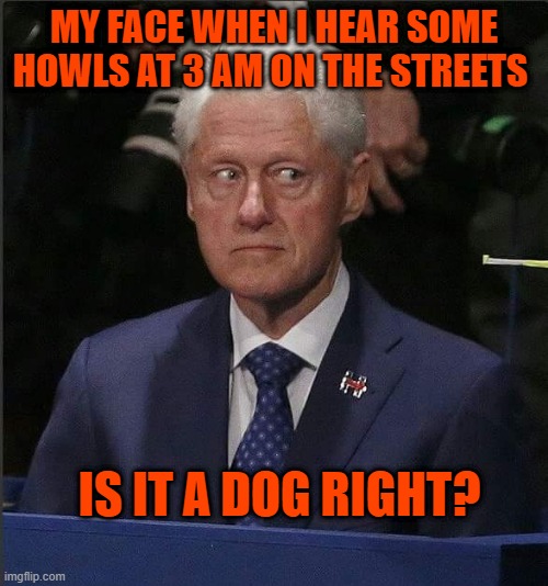 Bill Clinton Scared | MY FACE WHEN I HEAR SOME HOWLS AT 3 AM ON THE STREETS; IS IT A DOG RIGHT? | image tagged in bill clinton scared | made w/ Imgflip meme maker