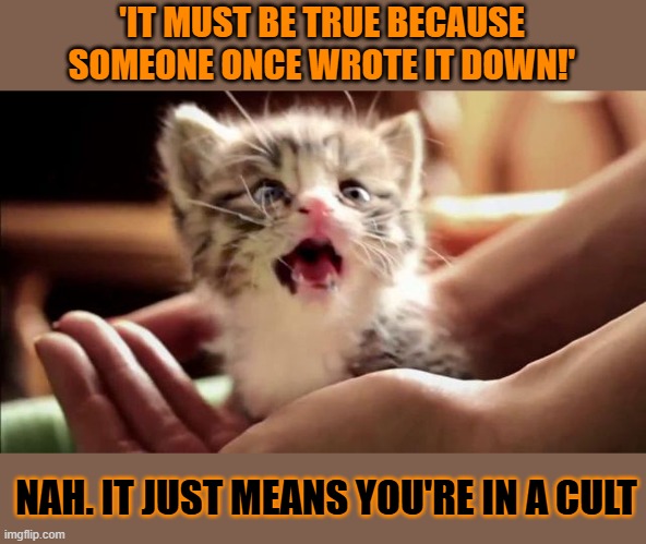 This #lolcat wonders if something is true because it's written | 'IT MUST BE TRUE BECAUSE SOMEONE ONCE WROTE IT DOWN!'; NAH. IT JUST MEANS YOU'RE IN A CULT | image tagged in christianity,islam,religion,holy bible,cult,lolcat | made w/ Imgflip meme maker
