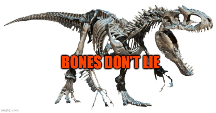 Indominus Rex Skeleton | BONES DON'T LIE | image tagged in indominus rex skeleton | made w/ Imgflip meme maker