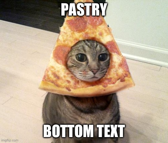 Yumer car | PASTRY; BOTTOM TEXT | image tagged in pizza cat,cat,cats,memes,pizza,stupid | made w/ Imgflip meme maker