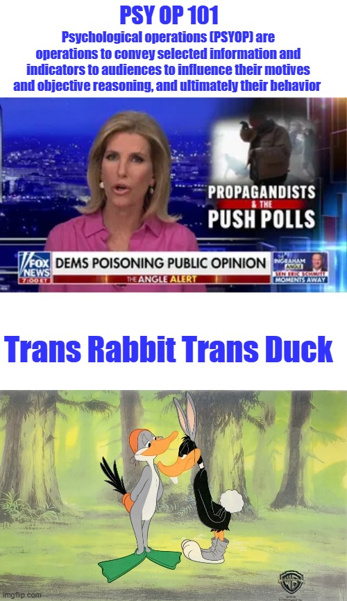 Their messin with your mind. About 15% can not be brain washed, they fear them the most BARRY made it LEGAL to be used on YOU. . | PSY OP 101; Psychological operations (PSYOP) are operations to convey selected information and indicators to audiences to influence their motives and objective reasoning, and ultimately their behavior; Trans Rabbit Trans Duck | made w/ Imgflip meme maker