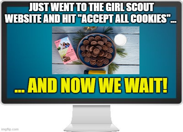 Computer screen | JUST WENT TO THE GIRL SCOUT WEBSITE AND HIT "ACCEPT ALL COOKIES"... ... AND NOW WE WAIT! | image tagged in computer screen,cookies,girl scouts | made w/ Imgflip meme maker