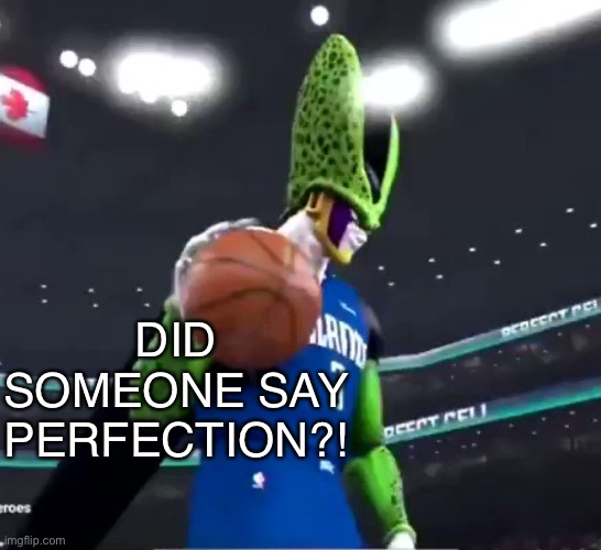 Cell ballin’ | DID SOMEONE SAY PERFECTION?! | image tagged in cell ballin | made w/ Imgflip meme maker