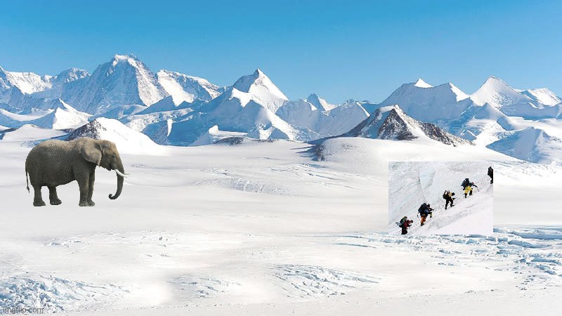 america be like theres 1 inch of snow were not going to school meanwhile antarctic kids | made w/ Imgflip meme maker