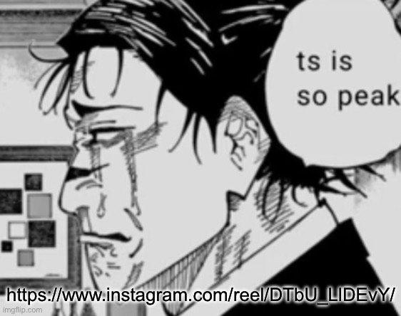 Ts is so peak | https://www.instagram.com/reel/DTbU_LlDEvY/ | image tagged in ts is so peak | made w/ Imgflip meme maker