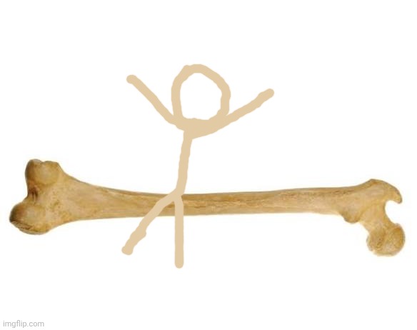 Let me throw you a bone. | image tagged in wone bone | made w/ Imgflip meme maker