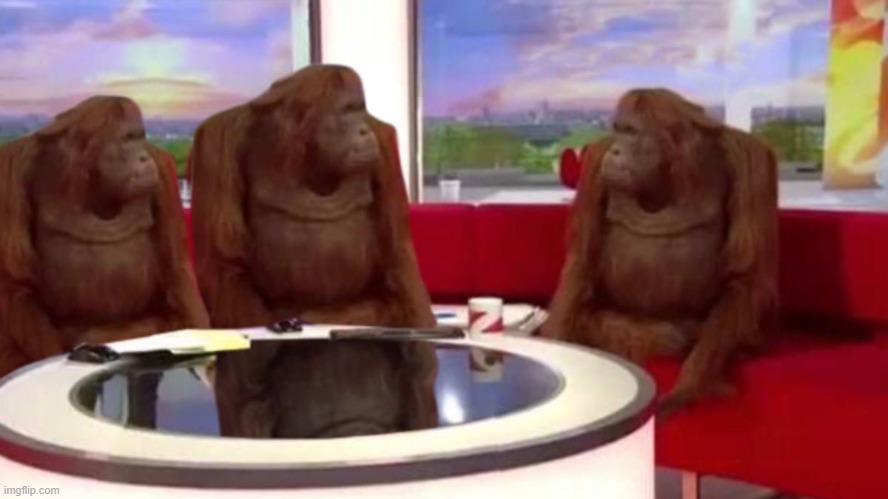 orangutan interview Blank Meme Template