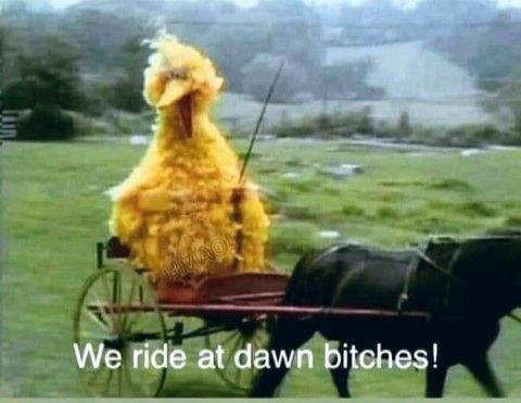 Big Bird Blank Meme Template