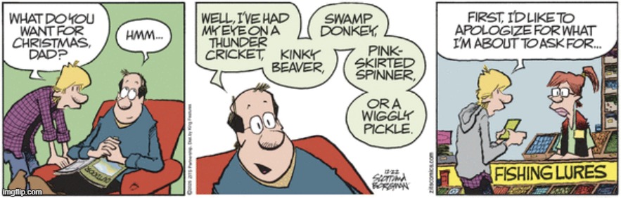 Zits | image tagged in comics | made w/ Imgflip meme maker