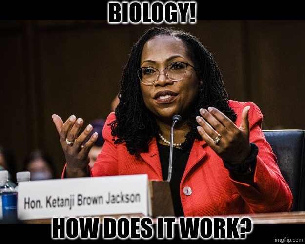 Ketanji Brown Jackson | BIOLOGY! HOW DOES IT WORK? | image tagged in ketanji brown jackson | made w/ Imgflip meme maker