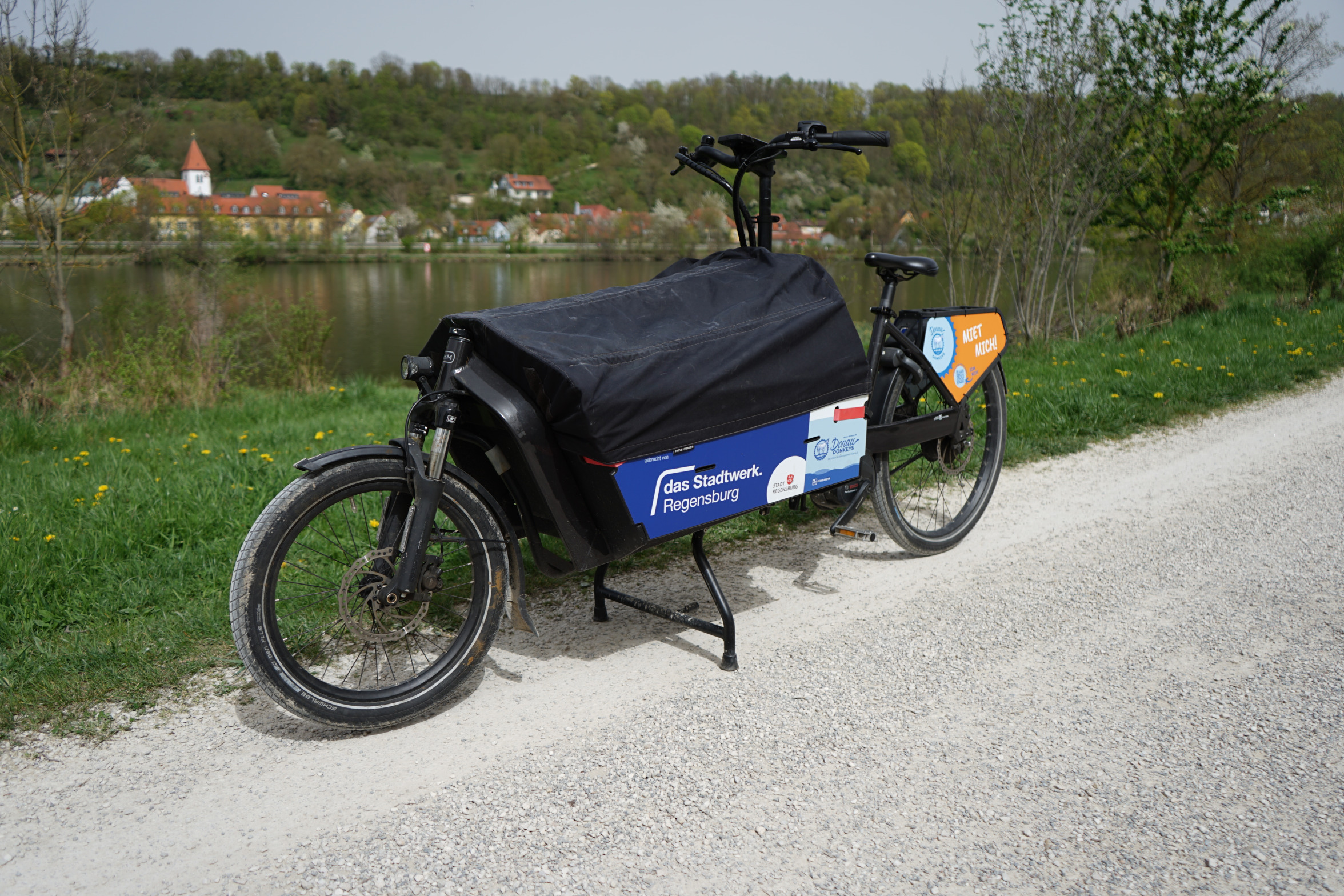 Donau Donkey Blank Meme Template