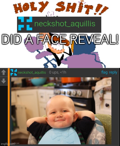 The shit of posting, and we call it... Shit posting | DID A FACE REVEAL! | image tagged in holy shit | made w/ Imgflip meme maker