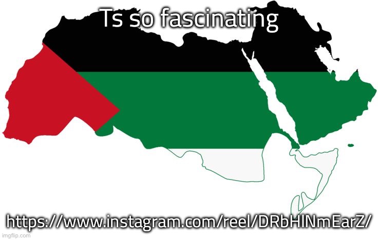 United Arab Republic | Ts so fascinating; https://www.instagram.com/reel/DRbHlNmEarZ/ | image tagged in united arab republic | made w/ Imgflip meme maker