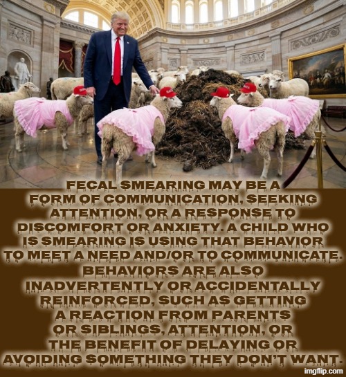 MAGA Fecal Smearing | BEHAVIORS ARE ALSO INADVERTENTLY OR ACCIDENTALLY REINFORCED, SUCH AS GETTING A REACTION FROM PARENTS OR SIBLINGS, ATTENTION, OR THE BENEFIT OF DELAYING OR AVOIDING SOMETHING THEY DON’T WANT. FECAL SMEARING MAY BE A FORM OF COMMUNICATION, SEEKING ATTENTION, OR A RESPONSE TO DISCOMFORT OR ANXIETY. A CHILD WHO IS SMEARING IS USING THAT BEHAVIOR TO MEET A NEED AND/OR TO COMMUNICATE. | image tagged in trump,maga,poop,fecal,january 6 2021,treason | made w/ Imgflip meme maker