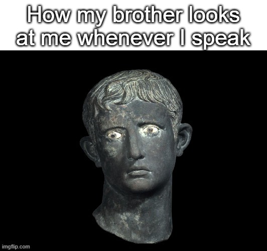 Please use the Meroe Head for more. It's prime meme material! | How my brother looks at me whenever I speak | image tagged in augustus disappointed | made w/ Imgflip meme maker