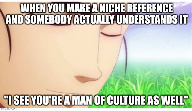 I See You're a Man of Culture clean | WHEN YOU MAKE A NICHE REFERENCE AND SOMEBODY ACTUALLY UNDERSTANDS IT; "I SEE YOU'RE A MAN OF CULTURE AS WELL" | image tagged in i see you're a man of culture clean | made w/ Imgflip meme maker