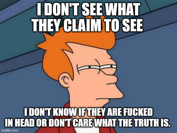 Futurama Fry Meme | I DON'T SEE WHAT THEY CLAIM TO SEE I DON'T KNOW IF THEY ARE FUCKED IN HEAD OR DON'T CARE WHAT THE TRUTH IS. | image tagged in memes,futurama fry | made w/ Imgflip meme maker