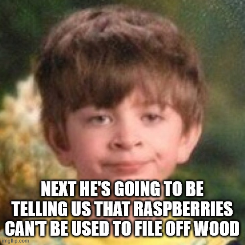 NEXT HE'S GOING TO BE TELLING US THAT RASPBERRIES CAN'T BE USED TO FILE OFF WOOD | image tagged in annoyed face | made w/ Imgflip meme maker