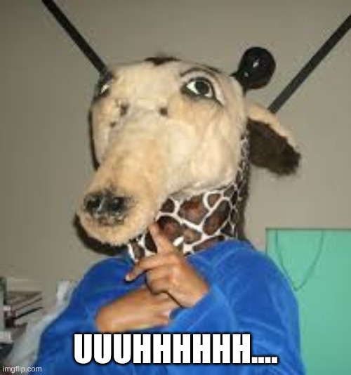 why does he look like he's gonna end me :/ | UUUHHHHHH.... | made w/ Imgflip meme maker