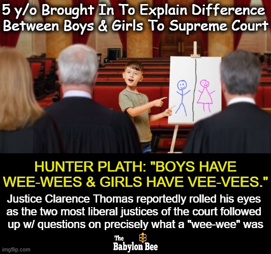 Justice Ketanji Brown Jackson sought more help understanding the matter from retired children's educator Barney the Dinosaur. | 5 y/o Brought In To Explain Difference 
Between Boys & Girls To Supreme Court; HUNTER PLATH: "BOYS HAVE WEE-WEES & GIRLS HAVE VEE-VEES."; Justice Clarence Thomas reportedly rolled his eyes 
as the two most liberal justices of the court followed 
up w/ questions on precisely what a "wee-wee" was | image tagged in supreme court,five year old,expert,boys vs girls,liberals,political humor | made w/ Imgflip meme maker
