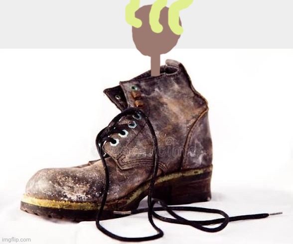 Smelly Old Boot | image tagged in that,was,incredibly,g | made w/ Imgflip meme maker