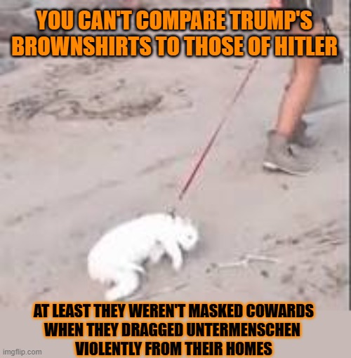 This #lolcat wonders if it's okay to compare US fascists to nazis | YOU CAN'T COMPARE TRUMP'S BROWNSHIRTS TO THOSE OF HITLER; AT LEAST THEY WEREN'T MASKED COWARDS
WHEN THEY DRAGGED UNTERMENSCHEN 
VIOLENTLY FROM THEIR HOMES | image tagged in nazis,fascists,lolcat | made w/ Imgflip meme maker