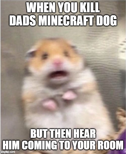 This has a place in Top 10 heart attacks | WHEN YOU KILL DADS MINECRAFT DOG; BUT THEN HEAR HIM COMING TO YOUR ROOM | image tagged in scared hamster | made w/ Imgflip meme maker
