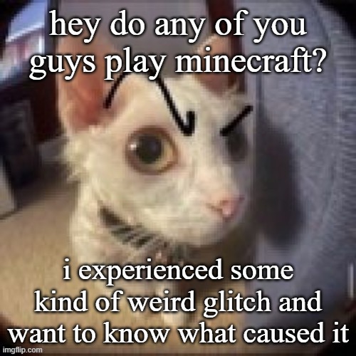 yes, i was on java at the time | hey do any of you guys play minecraft? i experienced some kind of weird glitch and want to know what caused it | image tagged in what | made w/ Imgflip meme maker