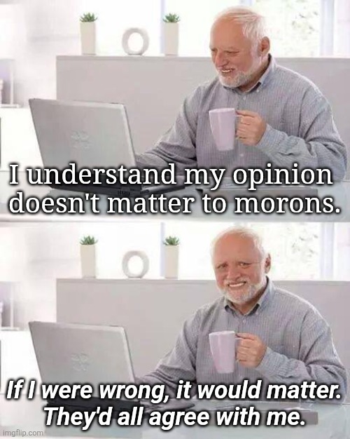 What's your opinion of my opinion | I understand my opinion 
doesn't matter to morons. If I were wrong, it would matter.
They'd all agree with me. | image tagged in memes,hide the pain harold,opinionated | made w/ Imgflip meme maker