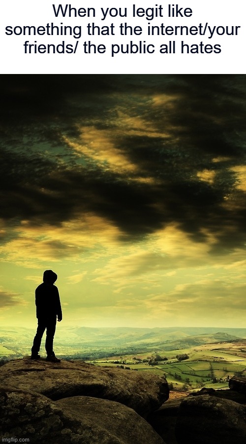 uh...i actually liked the end of Stranger Things and pineapple on pizza (if it makes you feel better, i hate OPM Season 3) | When you legit like something that the internet/your friends/ the public all hates | image tagged in deep thoughts,memes | made w/ Imgflip meme maker