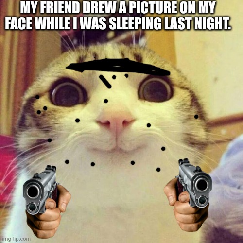 Smiling Cat Meme | MY FRIEND DREW A PICTURE ON MY FACE WHILE I WAS SLEEPING LAST NIGHT. | image tagged in memes,smiling cat | made w/ Imgflip meme maker