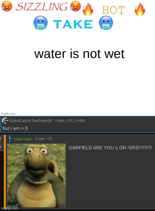 wtf | made w/ Imgflip meme maker