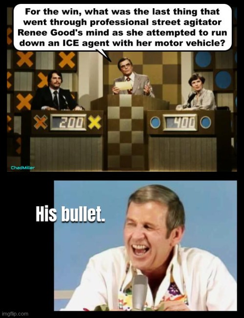 Too soon? | image tagged in renee good,domestic terrorist,democrat,ice,politics | made w/ Imgflip meme maker