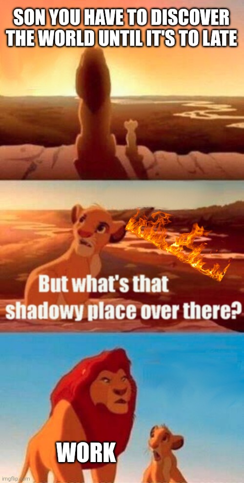 Simba Shadowy Place | SON YOU HAVE TO DISCOVER THE WORLD UNTIL IT'S TO LATE; WORK | image tagged in memes,simba shadowy place | made w/ Imgflip meme maker