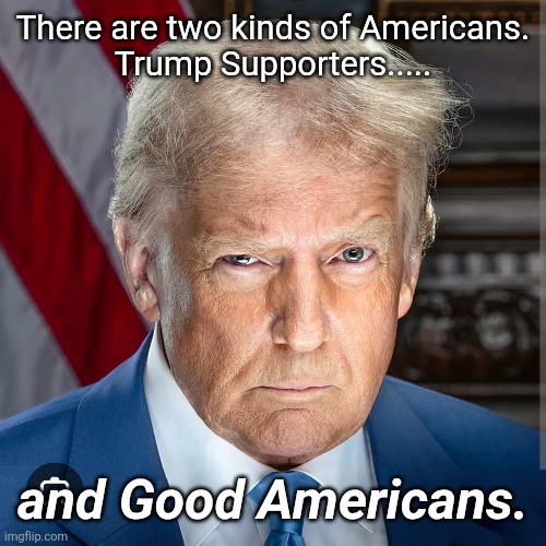 Be Good | There are two kinds of Americans.

Trump Supporters..... and Good Americans. | made w/ Imgflip meme maker