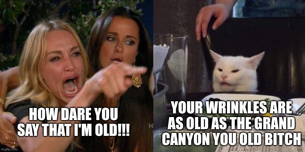 KDrama | YOUR WRINKLES ARE AS OLD AS THE GRAND CANYON YOU OLD BITCH; HOW DARE YOU SAY THAT I'M OLD!!! | image tagged in cat screaming at the cat,excuse me what the fuck,are you kidding me,bruh,slay,kdrama | made w/ Imgflip meme maker