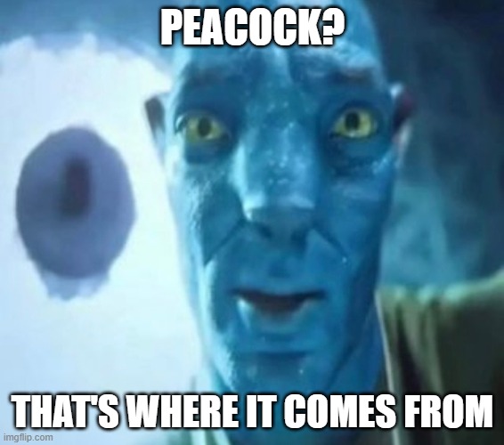 Image Title | PEACOCK? THAT'S WHERE IT COMES FROM | image tagged in avatar guy | made w/ Imgflip meme maker