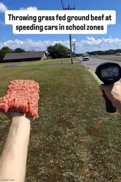ground beef | image tagged in what | made w/ Imgflip meme maker