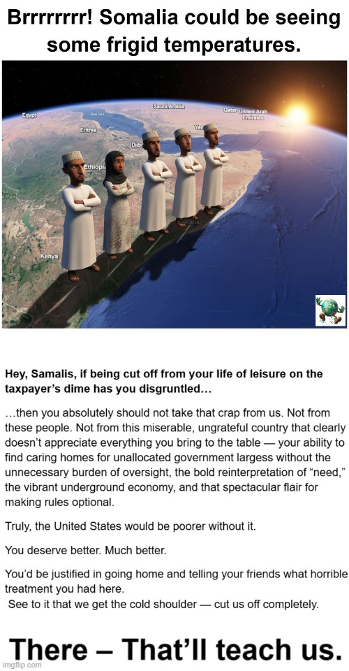 Are the Somalis being racially profiled by the Trump administration’s fraud crackdown? | image tagged in maga,conservative,fraud,minnesota | made w/ Imgflip meme maker