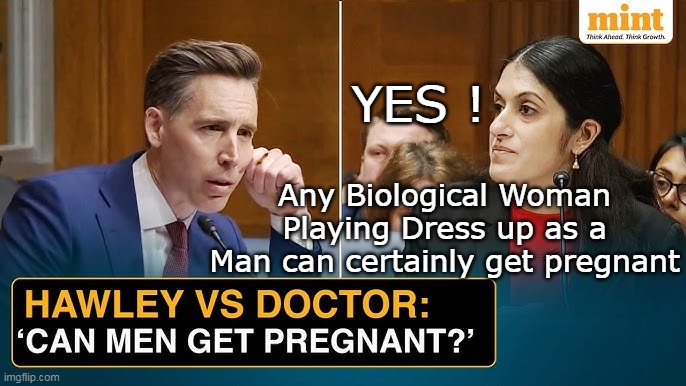 WHAT is so hard about that question? | YES ! Any Biological Woman Playing Dress up as a Man can certainly get pregnant | image tagged in hawley biological woman pregnant gyno meme | made w/ Imgflip meme maker