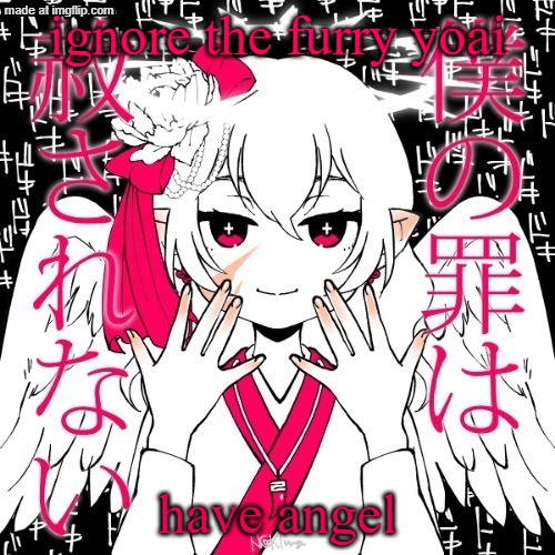 dragnoc | ignore the furry yoai; have angel | image tagged in dragnoc | made w/ Imgflip meme maker