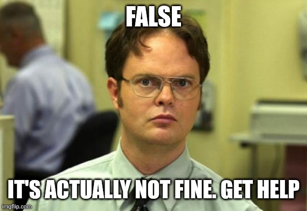 Dwight Schrute Meme | FALSE IT'S ACTUALLY NOT FINE. GET HELP | image tagged in memes,dwight schrute | made w/ Imgflip meme maker