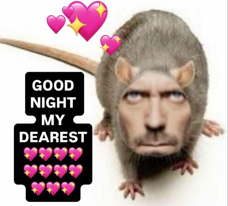 Houserat Blank Meme Template